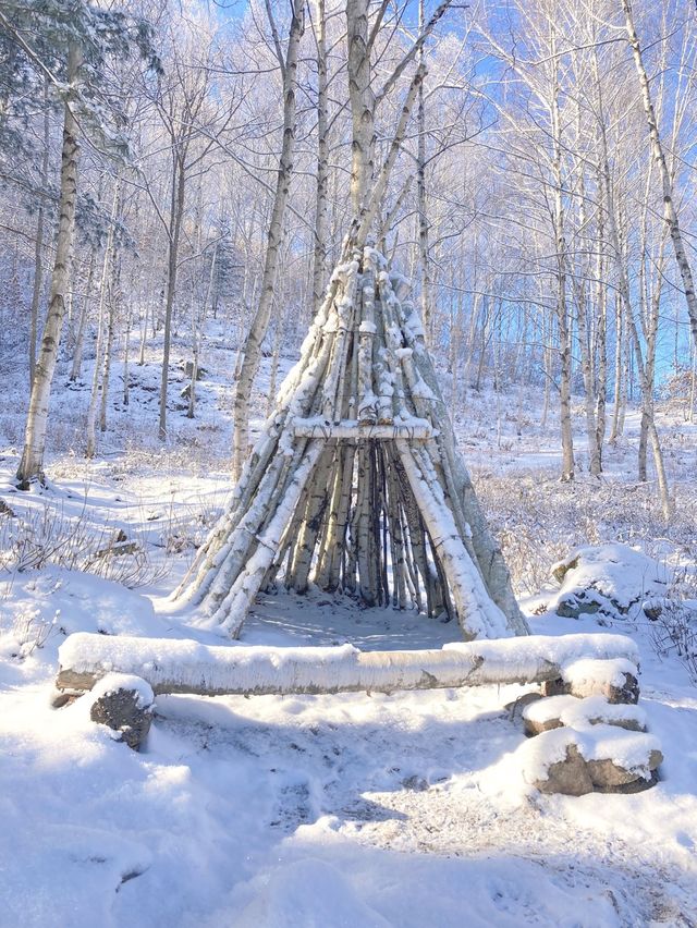 ❄️한국의 겨울왕국❄️ 인제 자작나무숲 