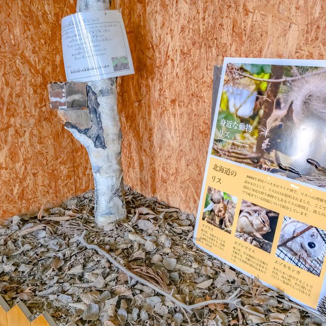 冬の円山動物園・ドサンコの森
