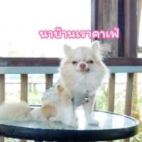 นาบ้านเราคาเฟ่ ฉะเชิงเทรา