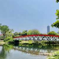 超大綠地公園🟢設計壯觀場面📍高雄中央公園站