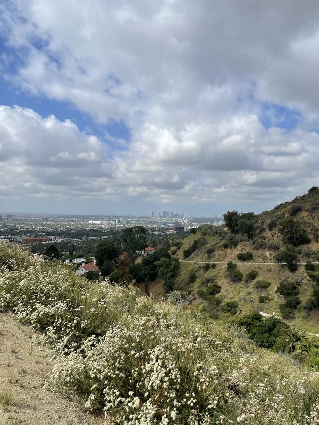 MORNING HIKE IN LA