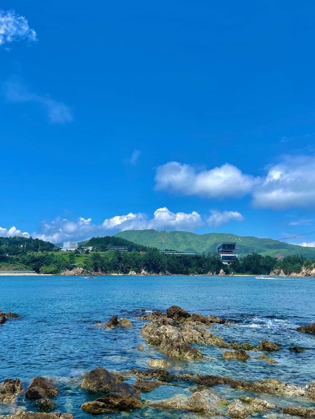 천연수영장에서 스노쿨 해요🤿