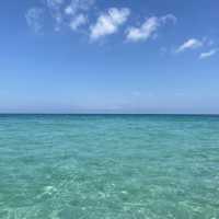 에메랄드 빛 바다가 펼쳐진 제주도 해수욕장🌊