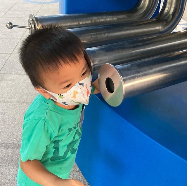 《不怕日曬☀️雨淋🌨嘅公園～感官花園 Sensory Garden》