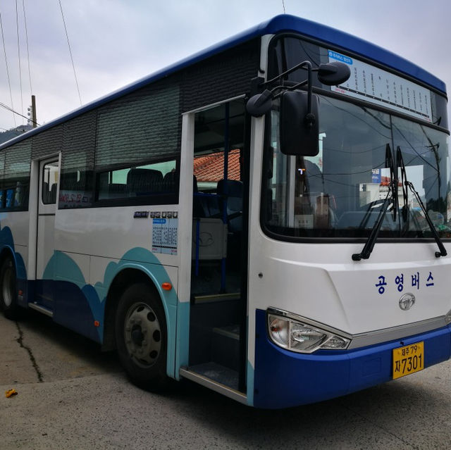 🚌 버스타고 즐거운 추자도 여행