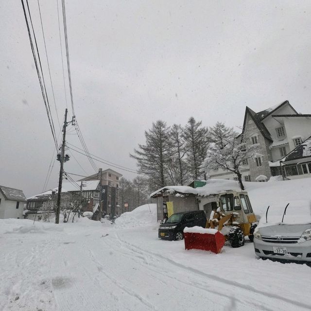 trip to snow areas In Japan within Aichiken 