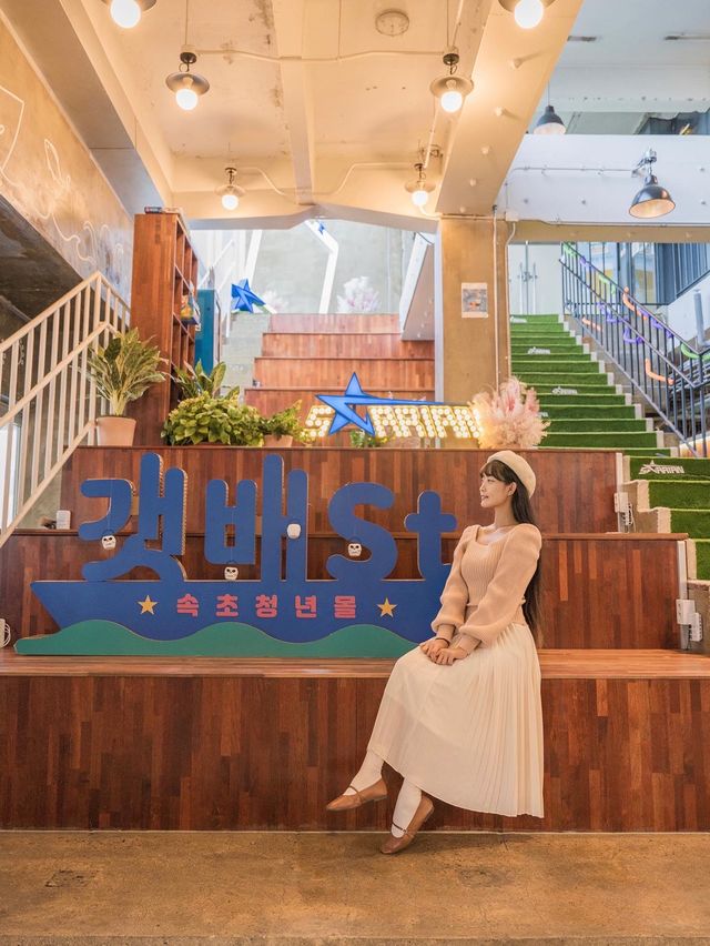 속초에 왔는데 여긴 가야지⁉️