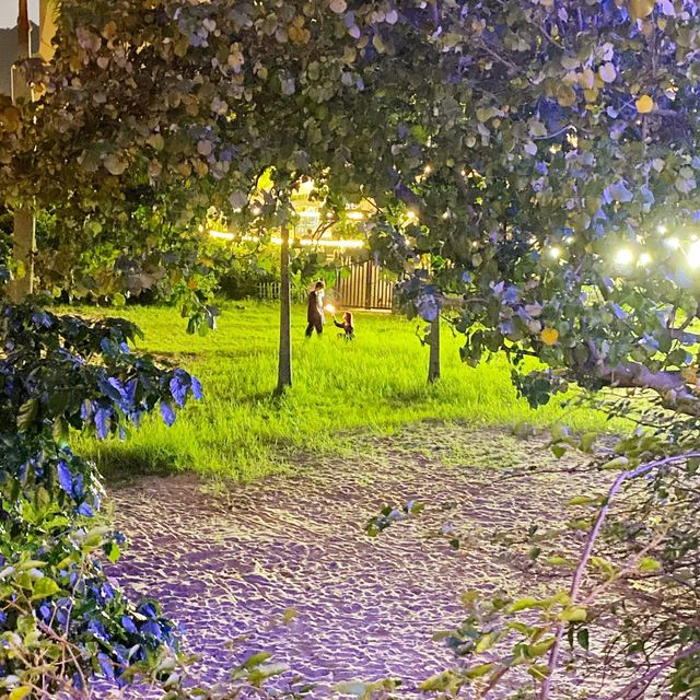 香港挪亞方舟半日遊