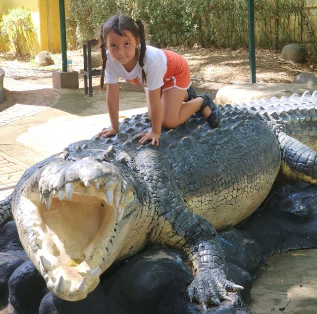 davao crocodile Park is a scaly experience 