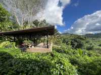 คาเฟ่กลางหุบเขา ณ ลานสกา