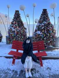  눈쌓인 서울 구경하기 딱인 남산 N서울타워☃️