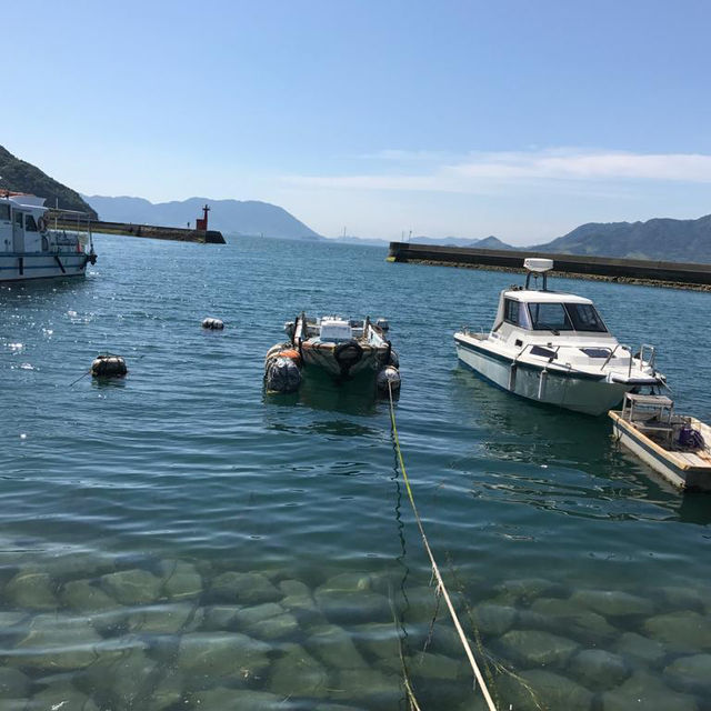 廣島景點 - 大久野島兔島