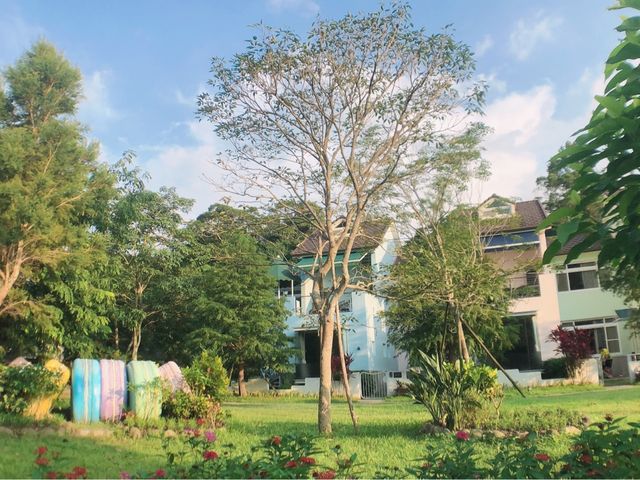 苗栗南庄 溫泉森林渡假村 雲水溫泉度假森林