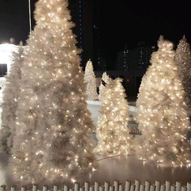 飄雪聖誕 飄雪聖誕