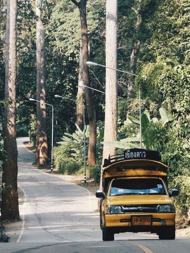 ลมหนาวพัดมา ทำให้อด “คิดถึง” เชียงดาวไม่ได้🧡