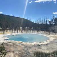 West Yellow Stone National Park 