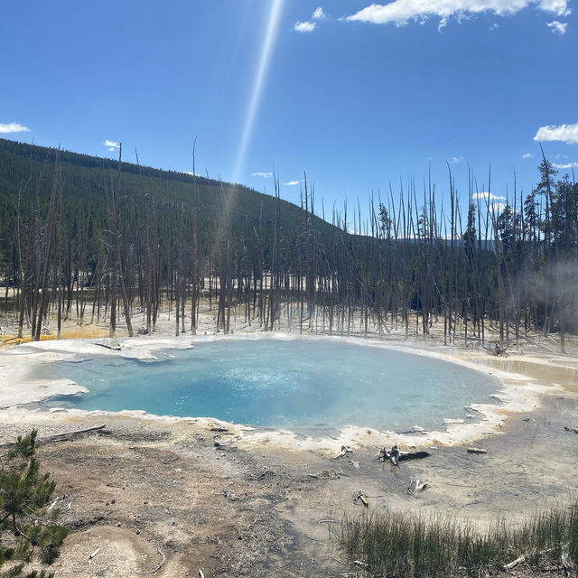 West Yellow Stone National Park 