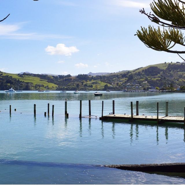 Akaroa - New Zealand 