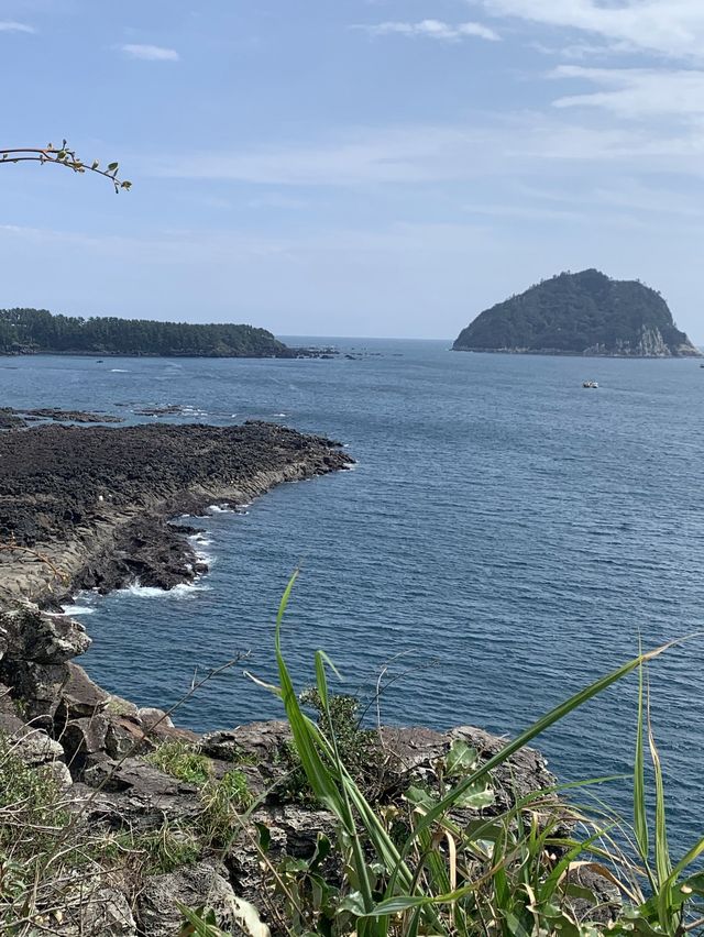 흐린 날의 캠핑도 좋았던 울산 "정자 해수욕장"