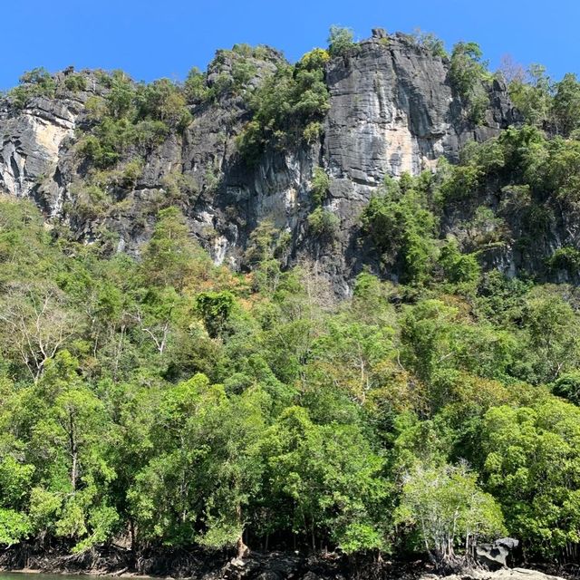 Kilim geoforest park sea eagles 