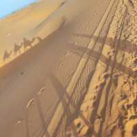 Morocco Sahara Desert Camel Ride