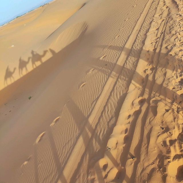 Morocco Sahara Desert Camel Ride