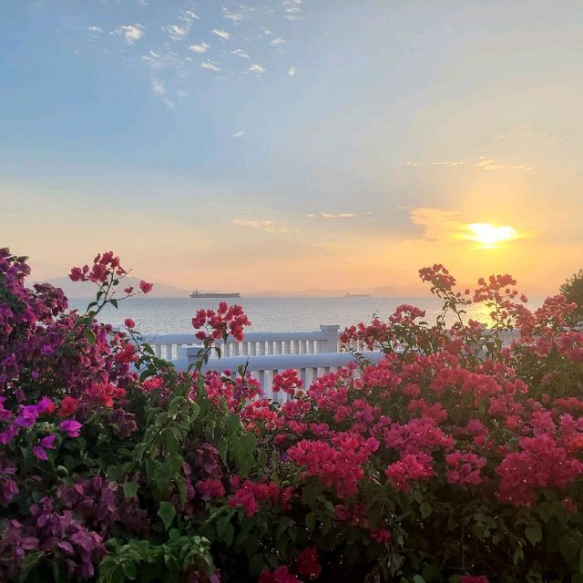 Beautiful Xiamen