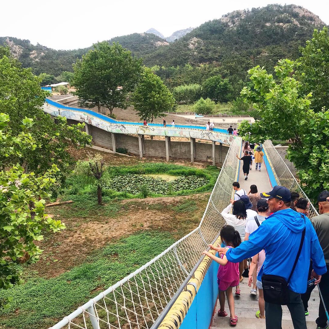 Công viên động vật hoang dã Xixiakou, một sở thú lớn nơi bạn có thể cho động vật ăn thịt ăn