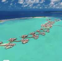 Ma Daisoniwajia Ni's new offer is so cheap that you'll cry. 4 nights all-inclusive.