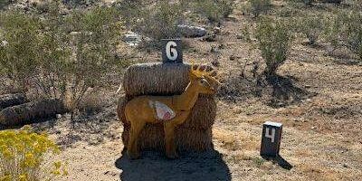 3D ARCHERY | Apple Valley Gun Club