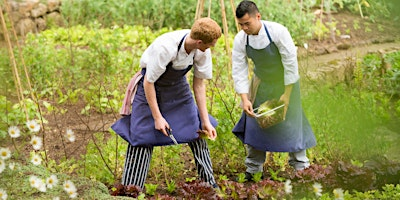Fork to Fork Garden Tour & Lunch | Gidleigh Park