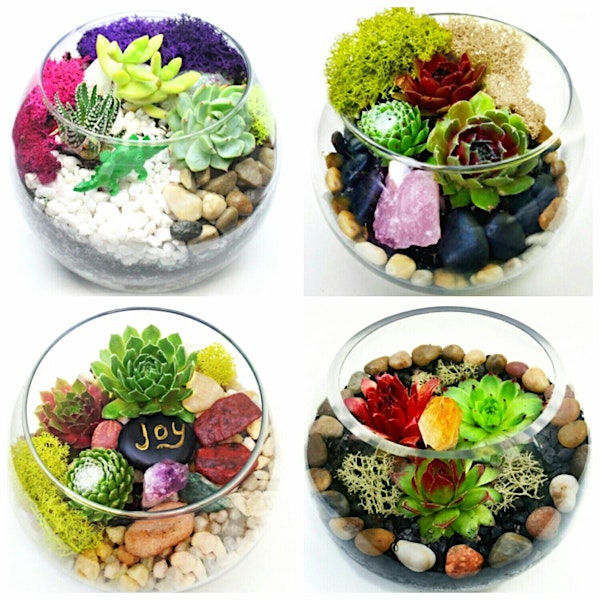 Plant Nite: Make a Succulent Terrarium | Rouge River Brewery