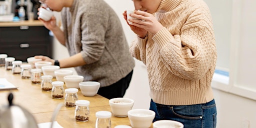 Sensory _Cupping | 40 Adesso Dr