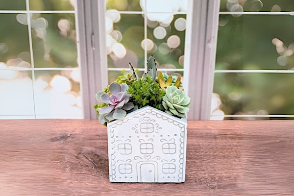 Holiday Succulent Workshop | Toronto Botanical Garden