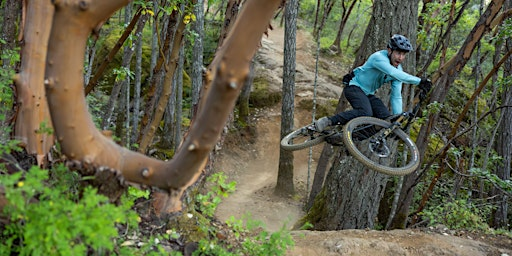 Windhill Shred | Wind Hill B1KEpark