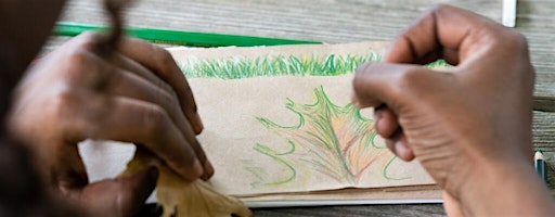 Nature Journaling | Eastbourne Park