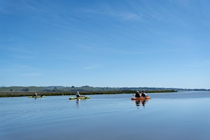 Petaluma Downriver Run in Pedal Kayaks with Optional Sauna + Cold Plunge | The Floathouse Petaluma