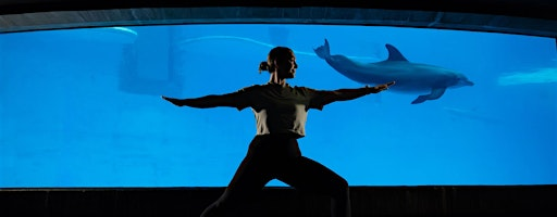 Morning Yoga: Underwater Flow | National Aquarium