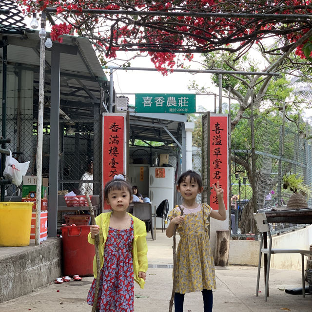 #隱世袐景路線一天遊  