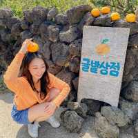 제주갬성하면 귤, 포토존 귤밭상점
