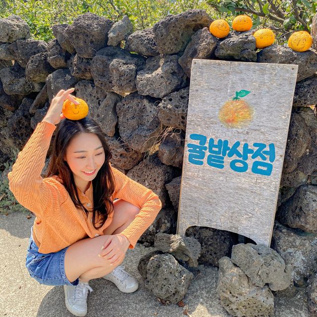 제주갬성하면 귤, 포토존 귤밭상점