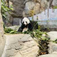 高質海洋公園平日遊