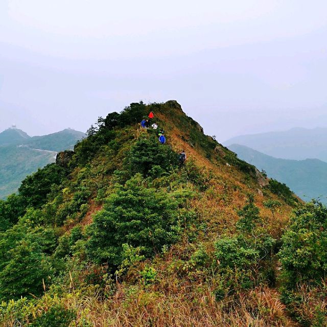 飛鵝山