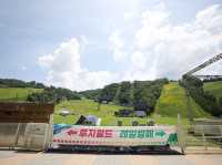 홍천 비발디파크 루지월드 재밌어요