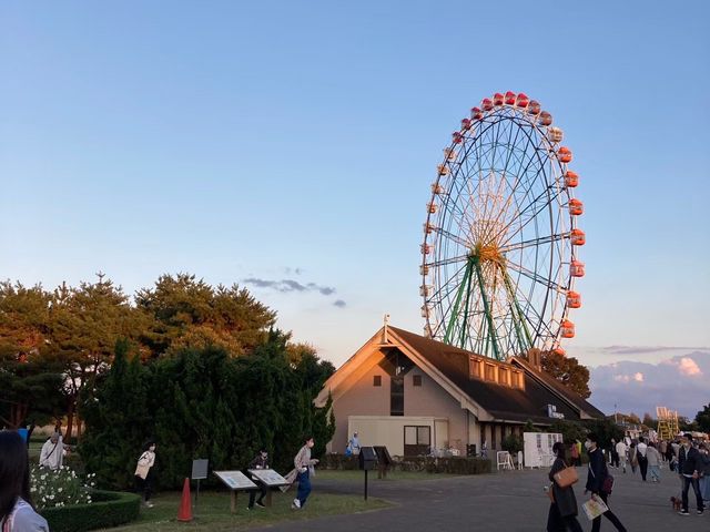 【茨城】国営ひたち海浜公園 〜秋・コキア〜
