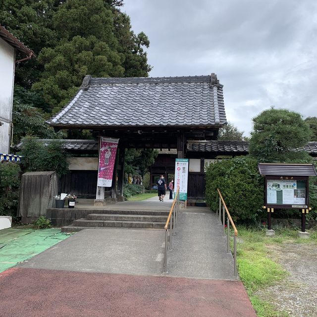 茂林寺