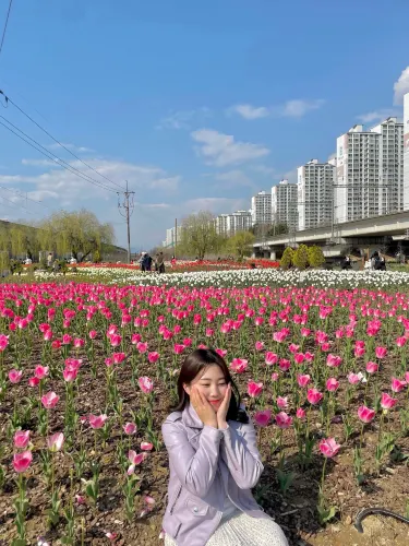 튤립으로 가득 찬 화명생태공원