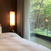 [제천] 포레스트 리솜