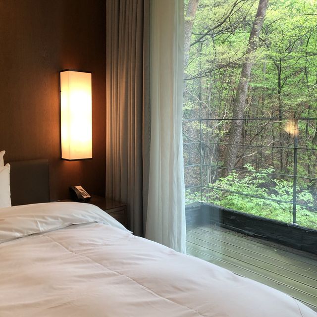 [제천] 포레스트 리솜