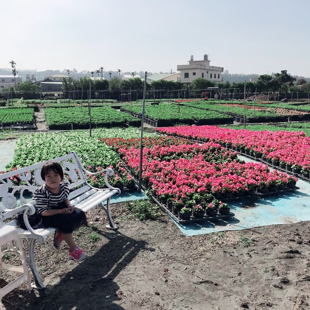 一年四季都能賞花的勝地